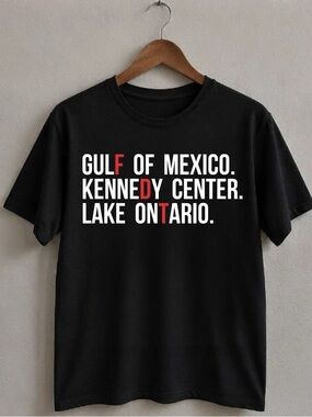 Gildan Black Graphic Tee with Lake Ontario